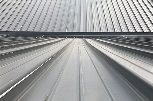 教育類項目&mdash;&mdash;東華大學(xué)屋面